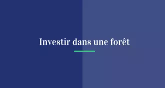 Investir dans une forêt