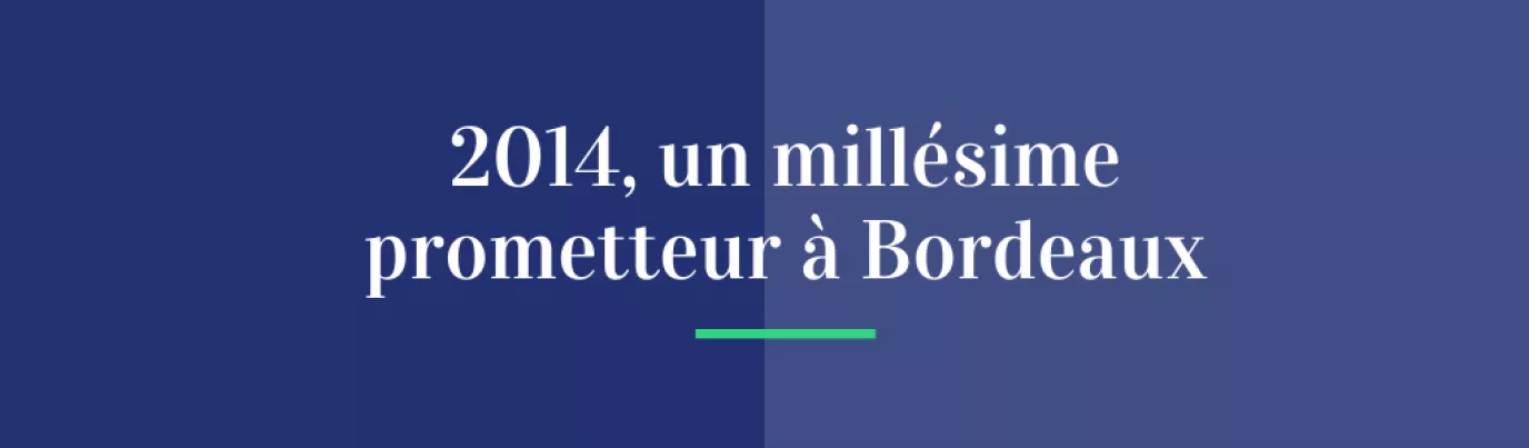 2014, un millésime prometteur à Bordeaux !